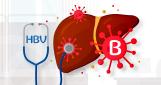 B형 간염